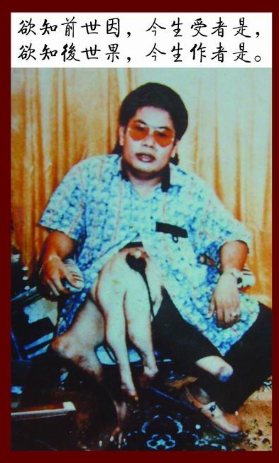 ��ʵ�ֻ���Ƭ-��������-���������Ӧ����