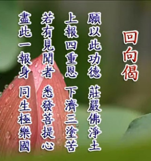 ��������ʦ��2012��ҽ��������ѣ���������ĩ�գ�ʱ�䵹��ʱ