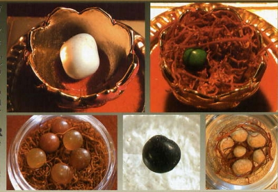 Ϊ��Ҫ������ô�ࣺ����������������ϣ�