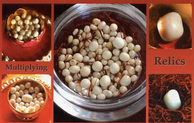 Ϊ��Ҫ������ô�ࣺ����������������ϣ�