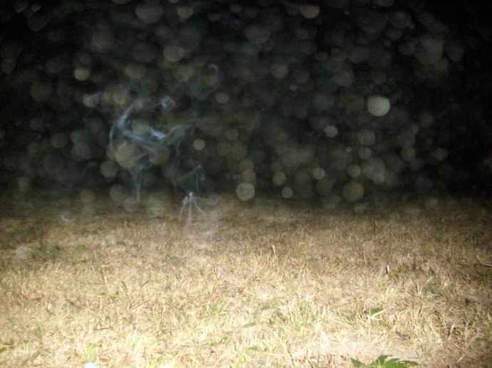 �����һ���о���Ƭ�����ع��ŵ�ר������