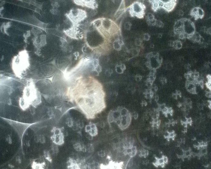 �����һ���о���Ƭ�����ع��ŵ�ר������