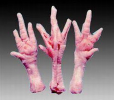 ��ʲô��ʲô��������ʲô��ʲô������