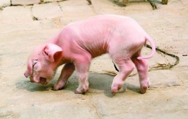 ���Ͼ��ֻ������̡�������������Ŀ����_ͼ