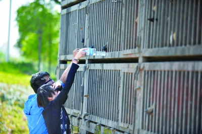 《光明日报》:“拦车救狗”的情与法之争 《光明日报》:“拦车救狗”的情与法之争