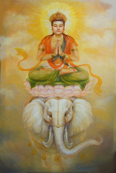 ����������ʮ��������Ĳ���