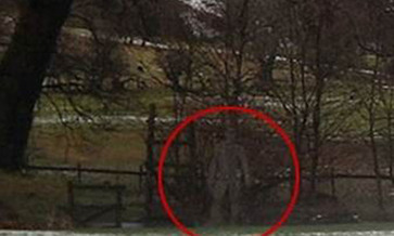 ���ȣ�������䶯���¸绪��ʵ�»�Ұ��