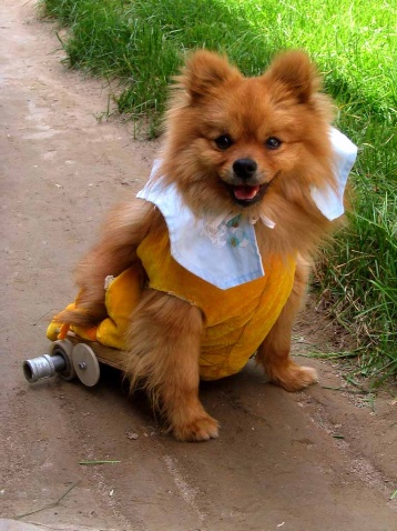 ǰ������ʱ��а���䣬����Ͷ̥Ϊ��