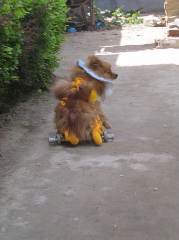 ǰ������ʱ��а���䣬����Ͷ̥Ϊ��