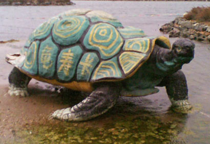 放生之龟16年后在海难中救起恩人后代 放生之龟16年后在海难中救起恩人后代