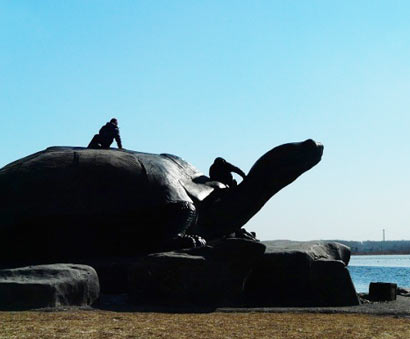 放生之龟16年后在海难中救起恩人后代 放生之龟16年后在海难中救起恩人后代