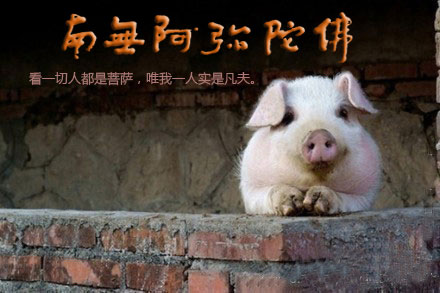 为什么你感知不到因果和灵性的世界? 为什么你感知不到因果和灵性的世界?