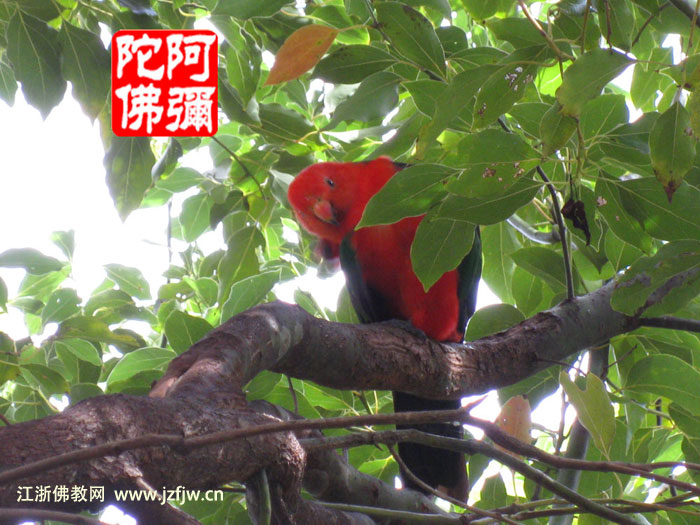 ˯ǰ�����ӣ�������ʮ��