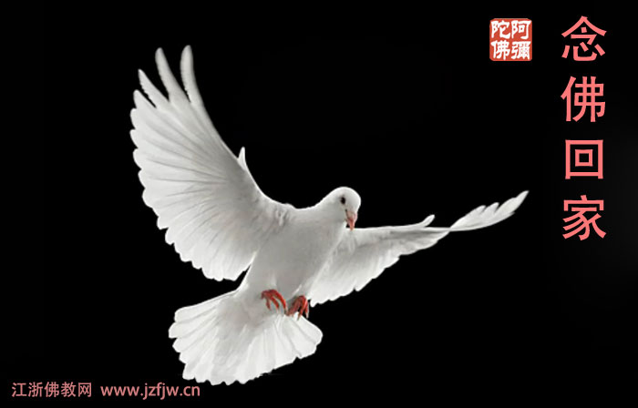 地藏菩萨救残疾腿 地藏菩萨救残疾腿