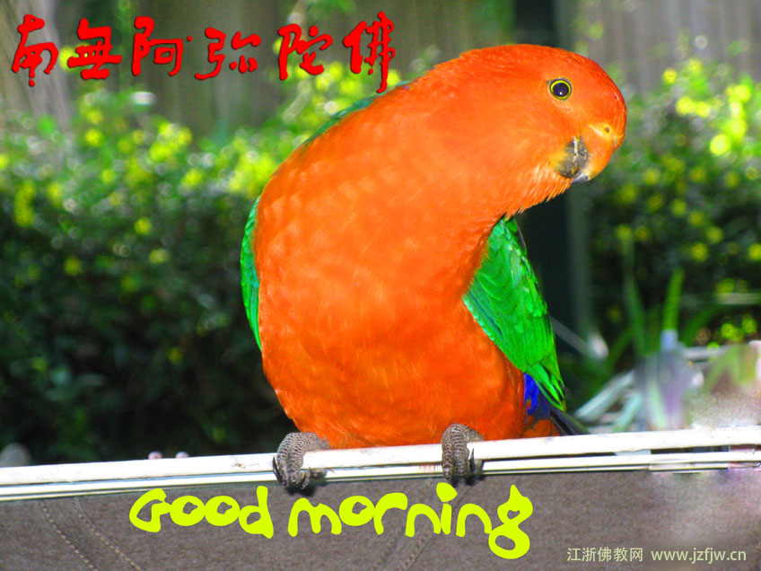 修行人不要有太强烈的亲人观念 修行人不要有太强烈的亲人观念