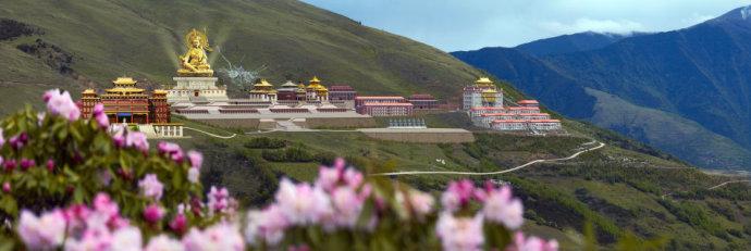 �����������������Ӧ����