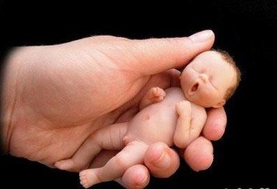 ̥���Բ���������,_ҽ�������̥��ô�죿