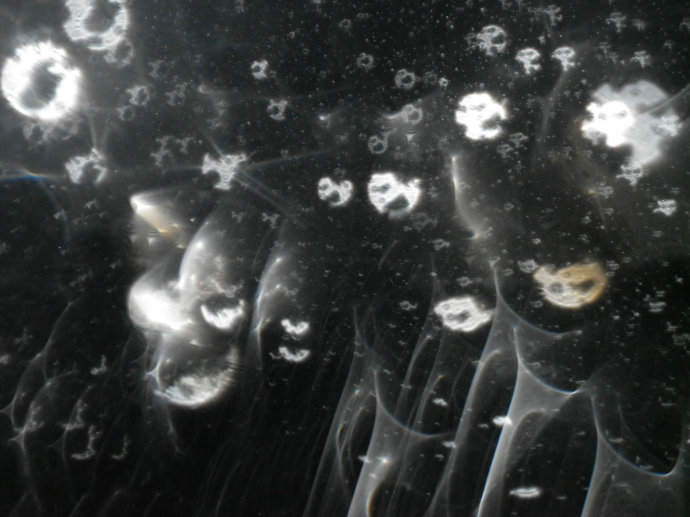 ʩʳ�����ͼ�Ӱ����������