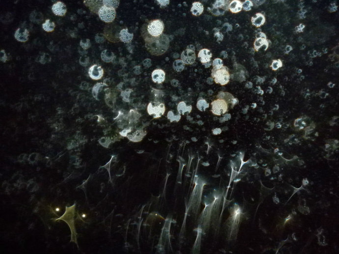 ʩʳ�����ͼ�Ӱ����������