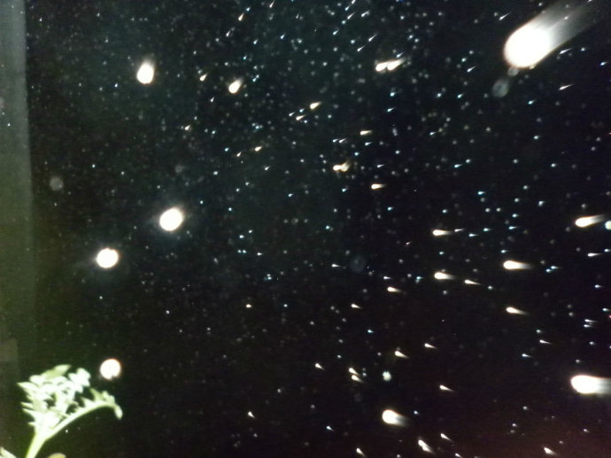 ʩʳ�����ͼ�Ӱ����������