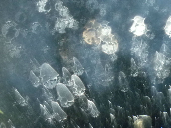 ʩʳ�����ͼ�Ӱ����������