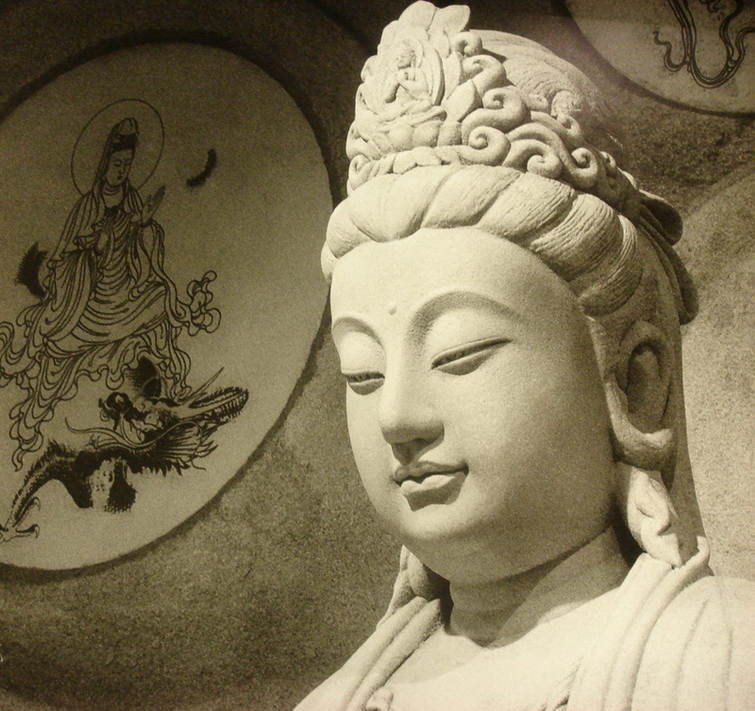 ���˱�ҡ����������������Ӧ����