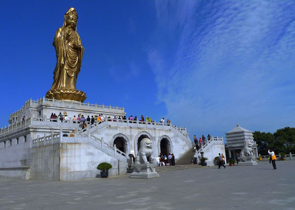 普陀山放生后不可思议的感应 普陀山放生后不可思议的感应