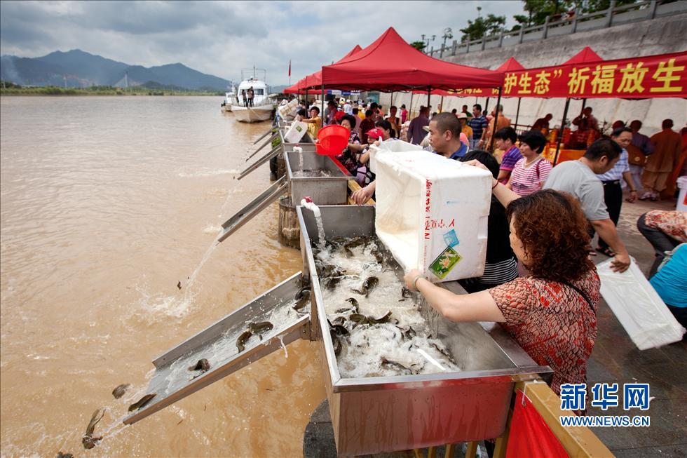 һ�ι��ڷ����ľ���Ի��͸���