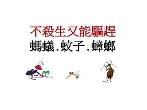 ��ɱ���������������ӡ���Ӭ�����ϡ���룿(ͼ)