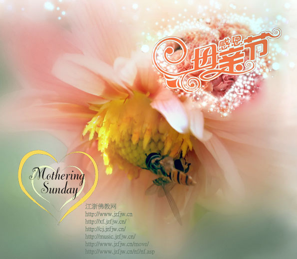 国际母亲节纪念--现实意义和佛教意义 国际母亲节纪念--现实意义和佛教意义