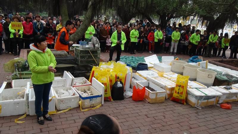 大放生和念咒,让我月收入第一次超过百万 大放生和念咒,让我月收入第一次超过百万