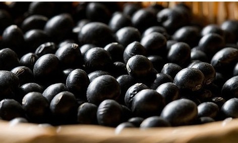 ��Ч��ֹ�׷�����(ͼ)