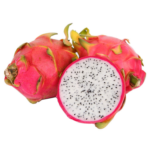 �������������Ǳ�����ƤҲ��Ҫ�ӵ���