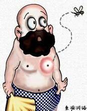 蚊虫最爱叮咬十种人,到底该不该打死它们?(图) 蚊虫最爱叮咬十种人,到底该不该打死它们?(图)