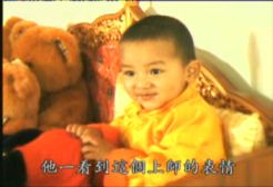 �󱦷��������ת�����£���ͼ+��Ƶ������հ��