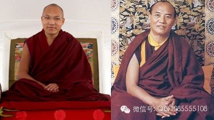 �󱦷��������ת�����£���ͼ+��Ƶ������հ��