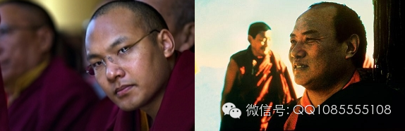 �󱦷��������ת�����£���ͼ+��Ƶ������հ��