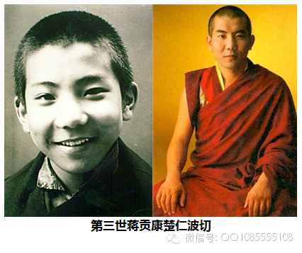 �󱦷��������ת�����£���ͼ+��Ƶ������հ��