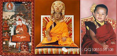 �󱦷��������ת�����£���ͼ+��Ƶ������հ��