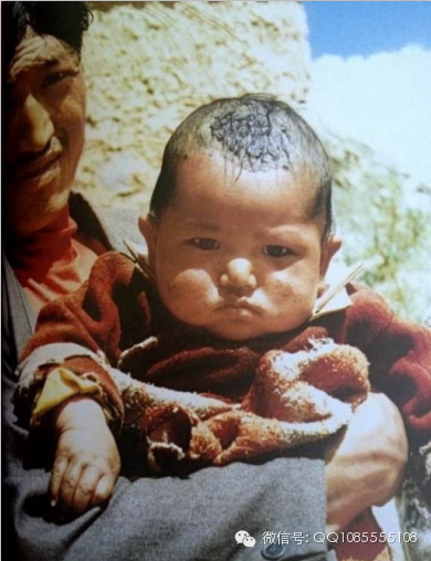 �󱦷��������ת�����£���ͼ+��Ƶ������հ��