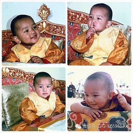 �󱦷��������ת�����£���ͼ+��Ƶ������հ��