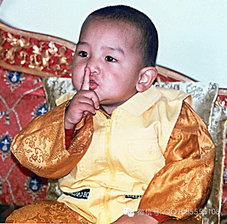 �󱦷��������ת�����£���ͼ+��Ƶ������հ��