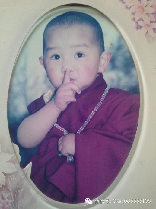 �󱦷��������ת�����£���ͼ+��Ƶ������հ��