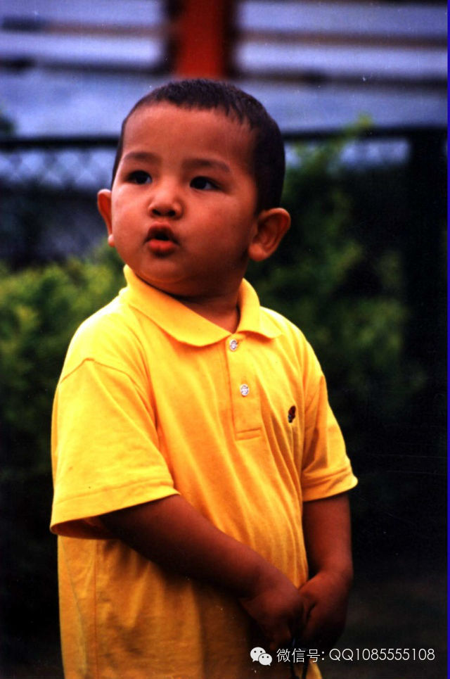 �󱦷��������ת�����£���ͼ+��Ƶ������հ��