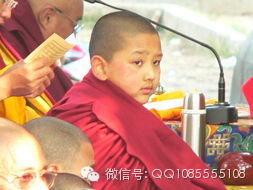 �󱦷��������ת�����£���ͼ+��Ƶ������հ��