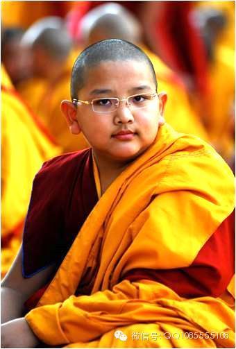 �󱦷��������ת�����£���ͼ+��Ƶ������հ��