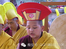 �󱦷��������ת�����£���ͼ+��Ƶ������հ��