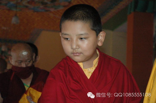 �󱦷��������ת�����£���ͼ+��Ƶ������հ��