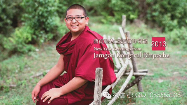 �󱦷��������ת�����£���ͼ+��Ƶ������հ��