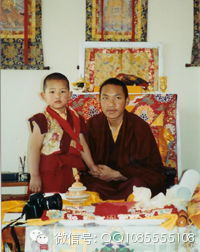 �󱦷��������ת�����£���ͼ+��Ƶ������հ��